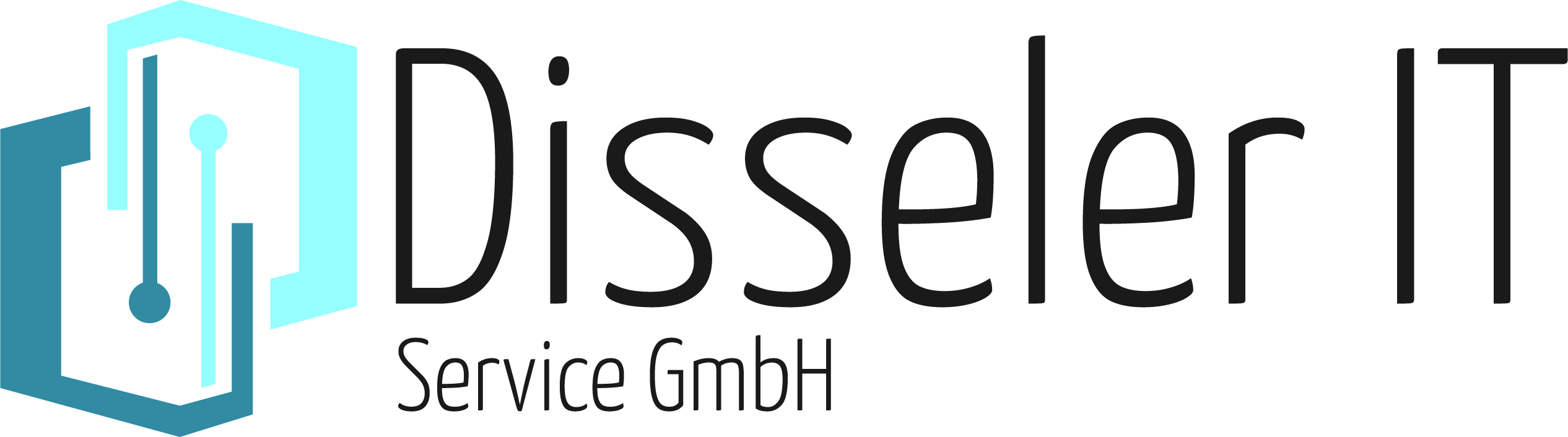 Disseler IT Service GmbH